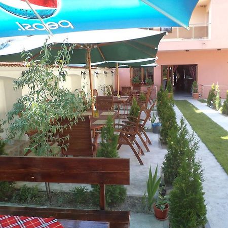 Tzvetelina Palace Hotel Dolna Banja Exteriör bild