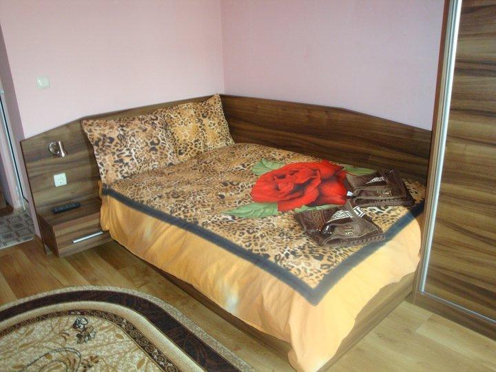 Tzvetelina Palace Hotel Dolna Banja Rum bild