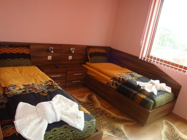 Tzvetelina Palace Hotel Dolna Banja Rum bild