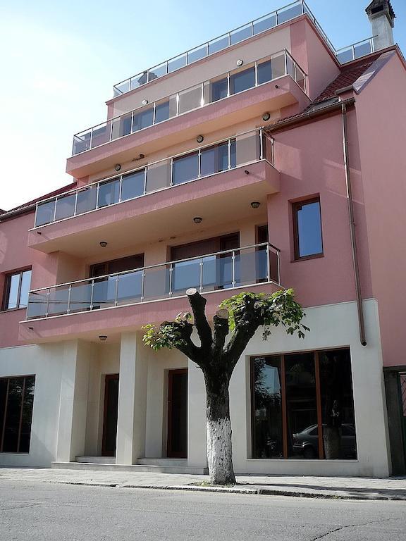 Tzvetelina Palace Hotel Dolna Banja Exteriör bild